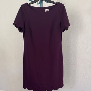 Anne Klein Short sleeves scallop hem Elegant Purple eggplant Women's knee Dress